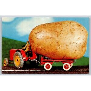 Postcard They Sure Grow 'EM Big Here Vintage c1960s  Potato Tractor Farmer